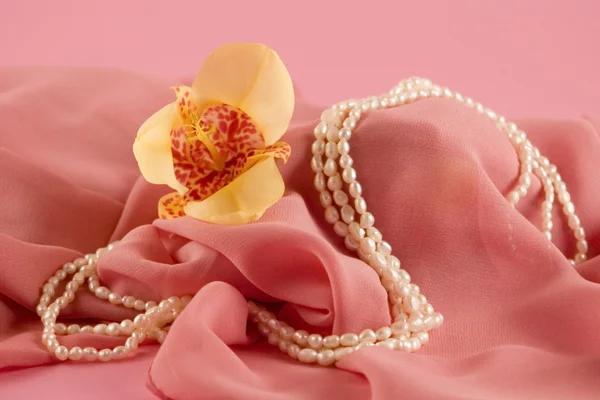 Sárga orchidea és egy rózsaszín háttér gyöngyök — Stock Fotó