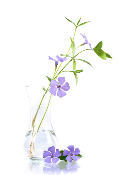 Bukett blommor i en transparent vas. — Stockfoto