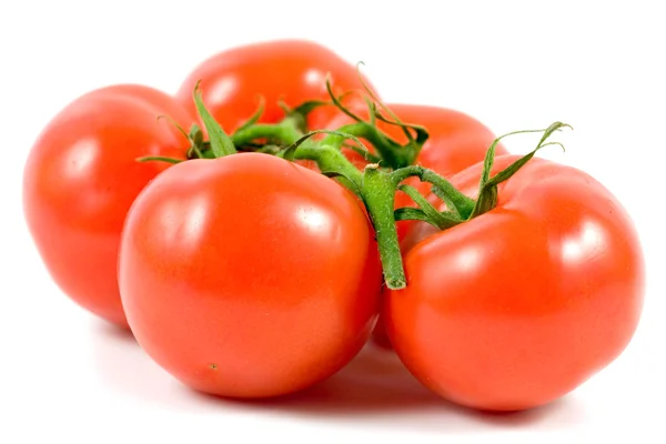 Beyaz arka planda izole edilmiş taze domatesler.. — Stok fotoğraf