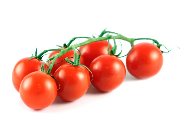Beyaz arka planda izole edilmiş taze domatesler.. — Stok fotoğraf