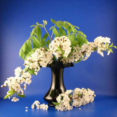 Spring still-life clipart