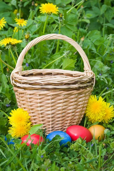 Kleurrijke Pasen eieren en een mand in een gras — Stockfoto