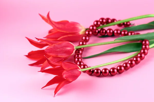 Červené tulipány a korálky na růžovém pozadí. — Stock fotografie
