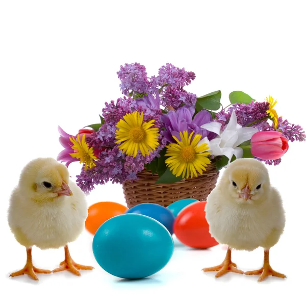 イースターの卵、鶏肉、花の束 — ストック写真