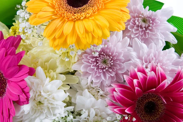 Bukiet pięknych kwiatów — Zdjęcie stockowe