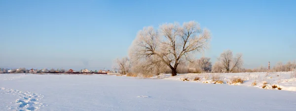 Beau paysage d'hiver. — Photo