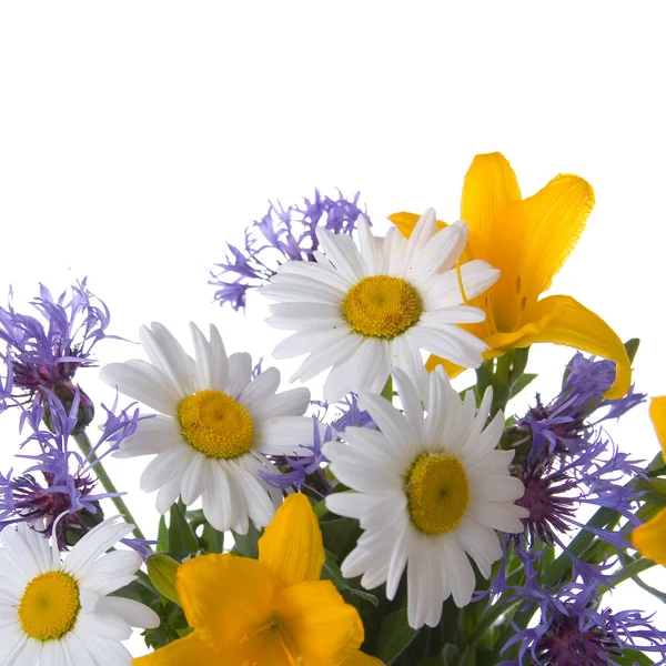 Boeket van mooie bloemen — Stockfoto