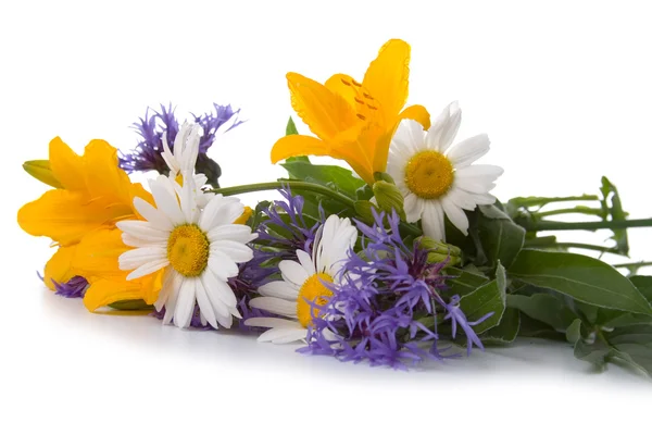 stock image Bouquet of beautiful flowers