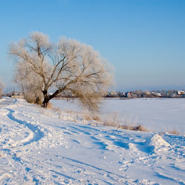 Güzel kış manzarası. — Stok fotoğraf