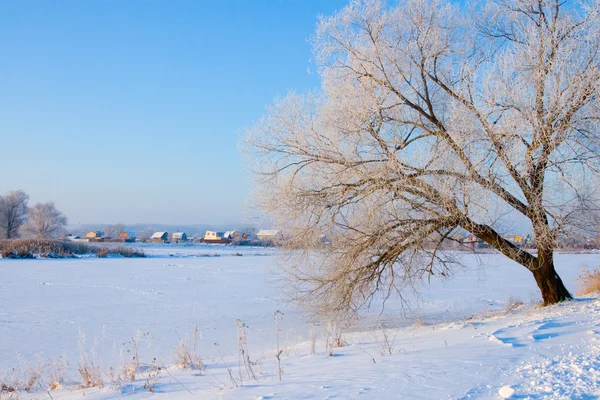 Krásná zimní krajina. — Stock fotografie