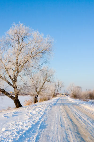 Hermoso paisaje de invierno. —  Fotos de Stock