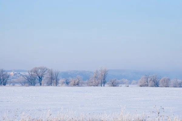 Prachtig winterlandschap. — Stockfoto