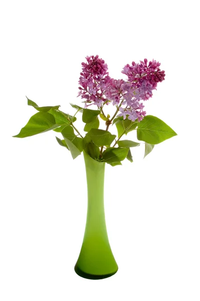 Lilac bouquet — Stock Photo, Image