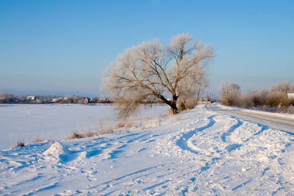 Linda paisagem de inverno. — Fotografia de Stock