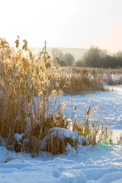 Krásná zimní krajina. — Stock fotografie