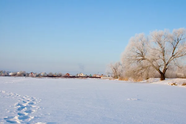 Beautiful winter landscape. — Stock Photo, Image
