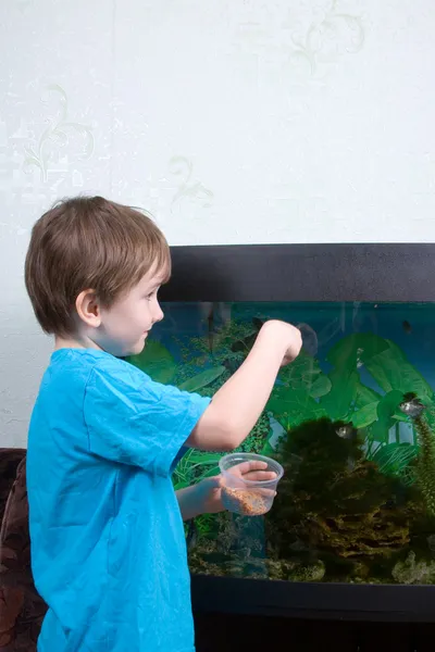 Αγόρι ταΐζει ψάρια — Φωτογραφία Αρχείου