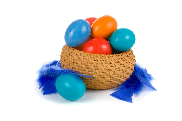 Easter eggs, cake and feathers — Stock Photo, Image