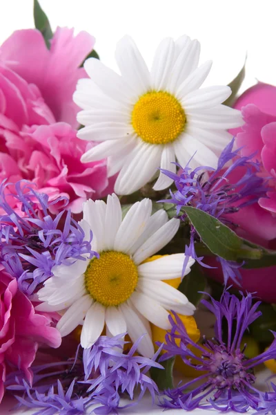 Μπουκέτο από όμορφα λουλούδια — Φωτογραφία Αρχείου