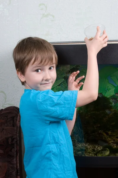Boy feeds fishes — Stock Photo, Image