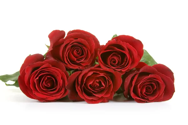 Bouquet de roses rouges — Photo
