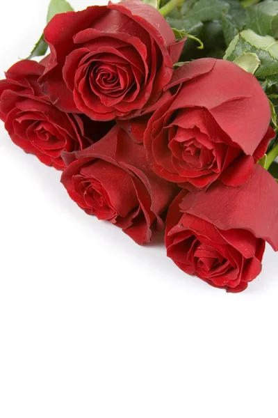 Bouquet di rose rosse — Foto Stock