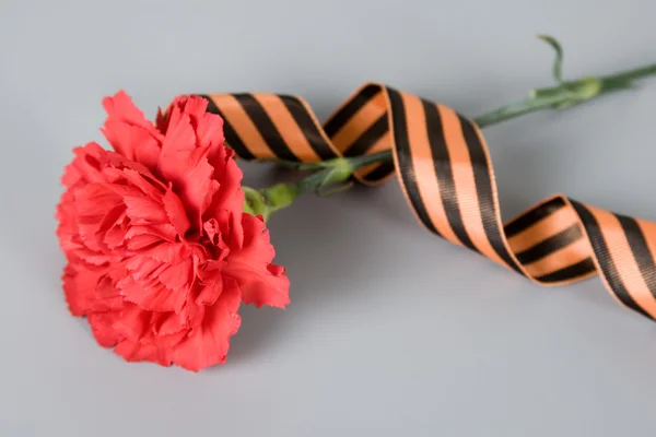 stock image Red carnation and St. George's Ribbon