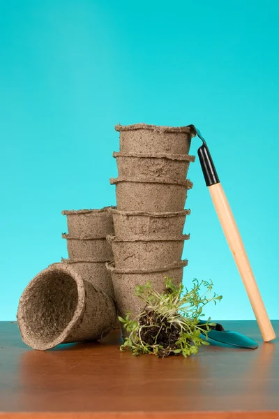 Peat pots and watercress — Stock Photo, Image