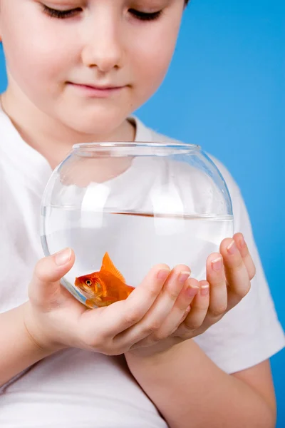 Menino segura um aquário com um peixinho — Fotografia de Stock