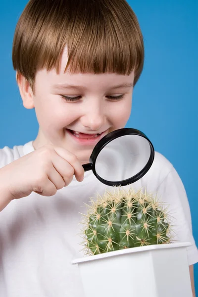 Мальчик с лупой и кактусом — стоковое фото
