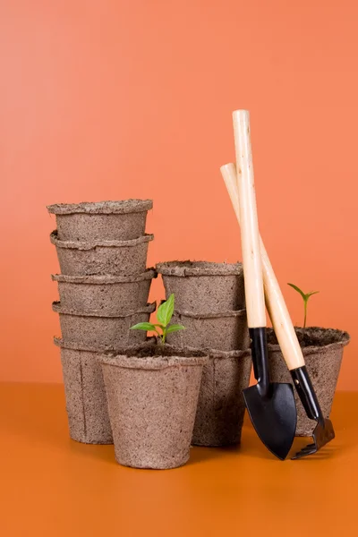 Torv krukor, plantor och trädgårdsredskap — Stockfoto