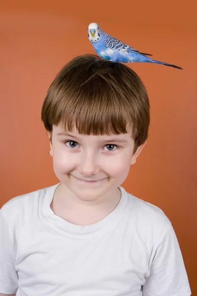 Portret uśmiechnięty chłopiec z papuga na głowie — Zdjęcie stockowe