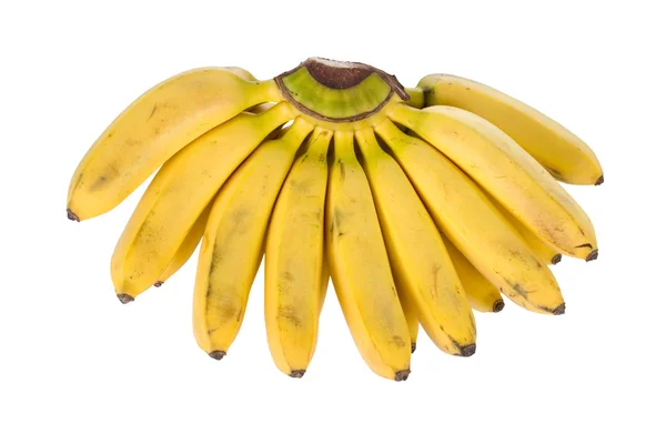 Racimo de plátanos pequeños —  Fotos de Stock