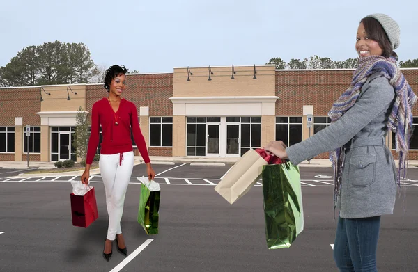 stock image Woman Shopping