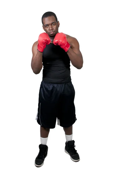 Hombre negro boxeador — Foto de Stock