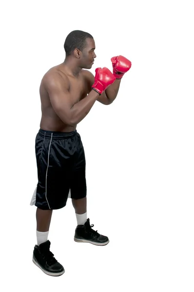 Zwarte man bokser — Stockfoto