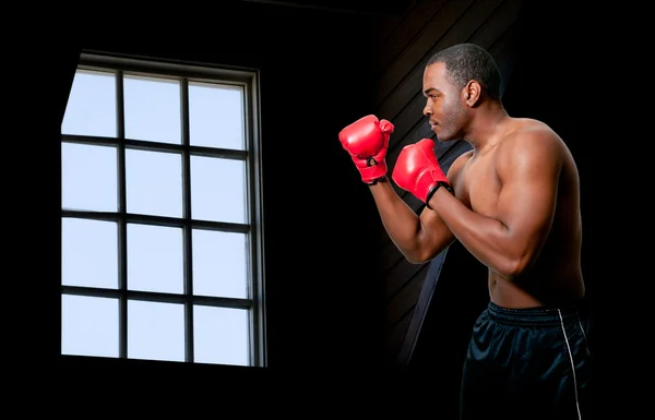 Hombre negro boxeador — Foto de Stock