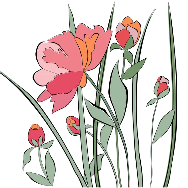 Pivoine fleur — Image vectorielle