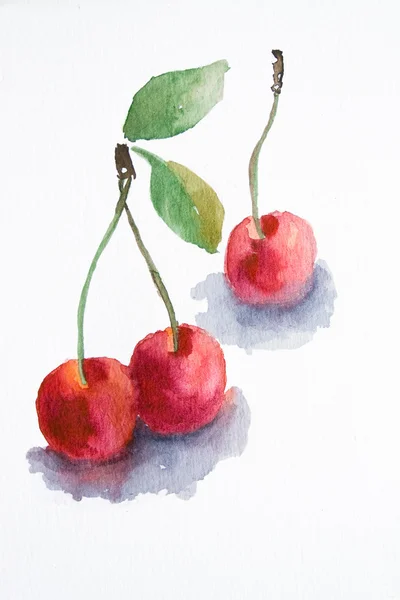 Watercolor cherry — Stock Photo, Image