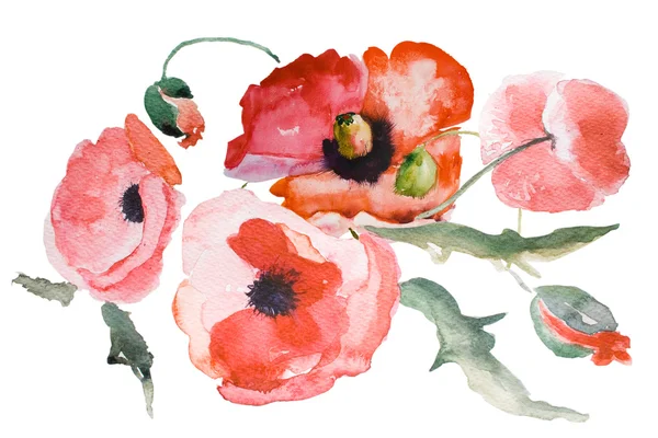 Watercolor Poppy flower — Stock Photo, Image