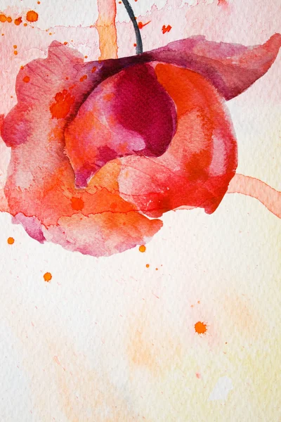 赤い花の水彩画の背景 — ストック写真