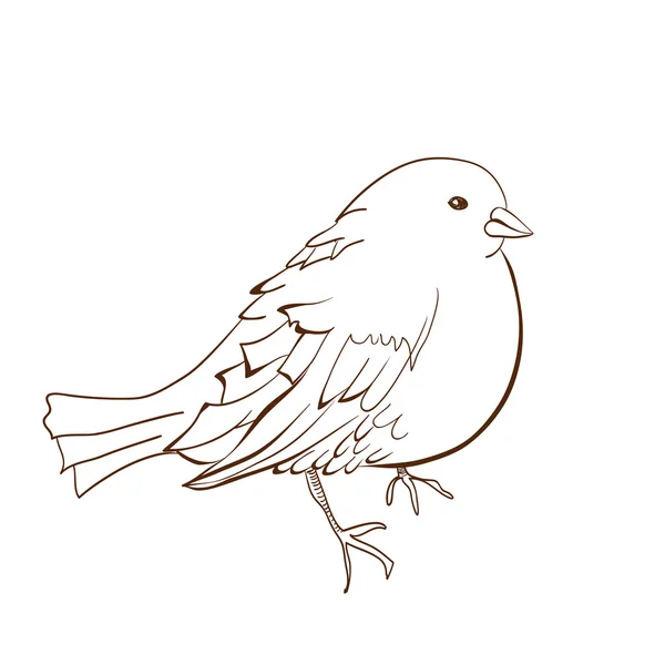 Abbildung des Vogels — Stockvektor