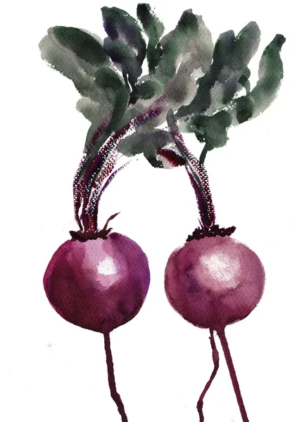 红甜菜的水彩插图 — 图库照片