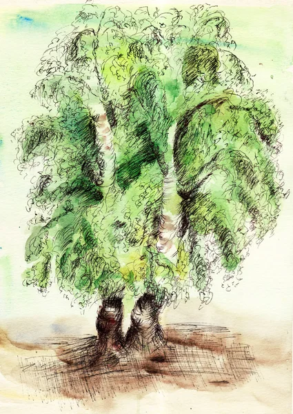 Пофарбована акварельна листівка з деревами — стокове фото
