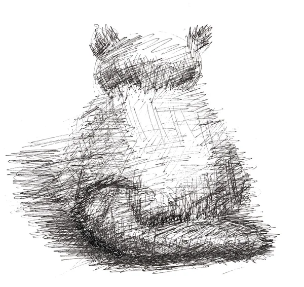 Katze im Sketch-Stil — Stockfoto