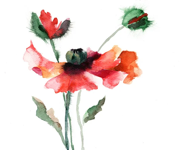 Акварельная иллюстрация цветка мака — стоковое фото