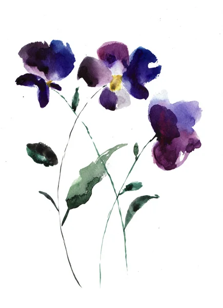 Aquarel illustratie van violette bloemen — Stockfoto