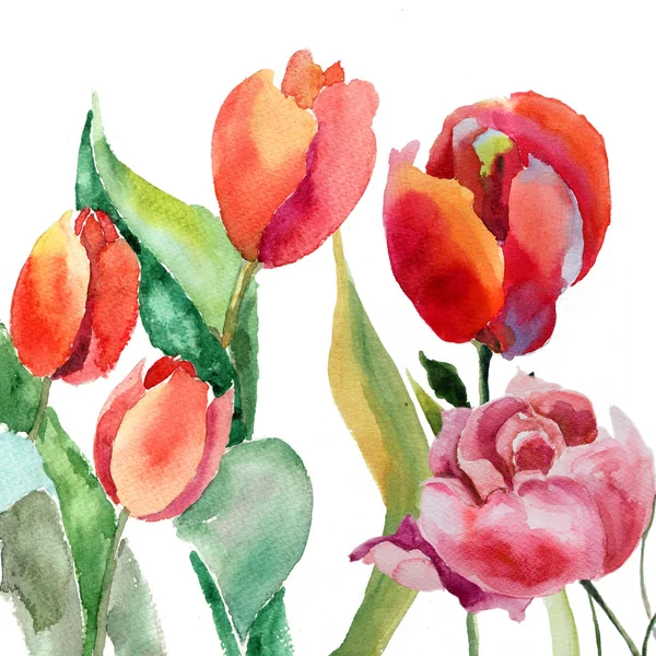 Watercolor illustration of Beautiful summer flowers — Stock Photo, Image