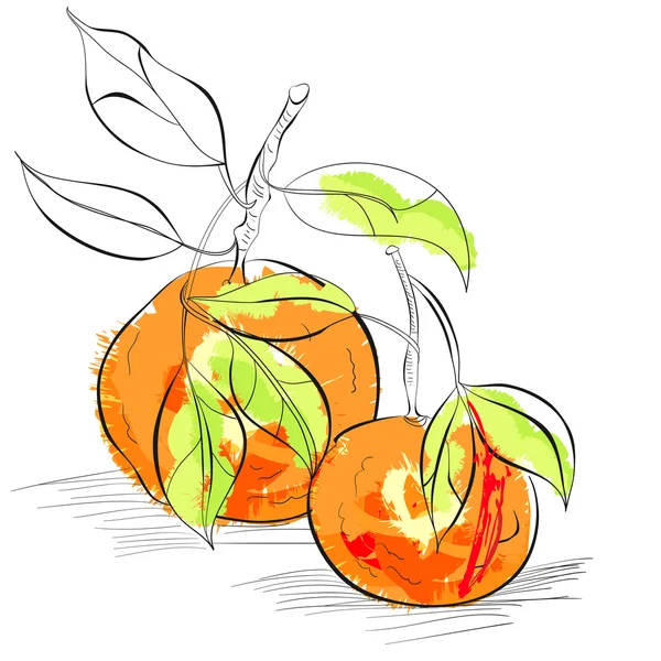 Mandarina — Vector de stock