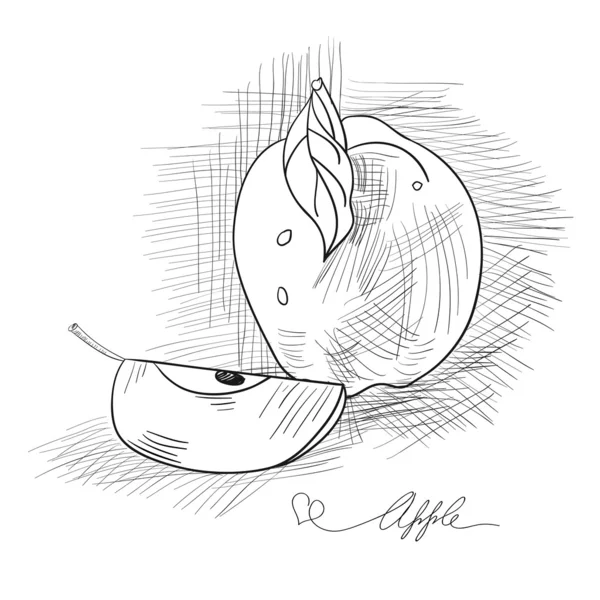 Эскиз яблока — стоковый вектор